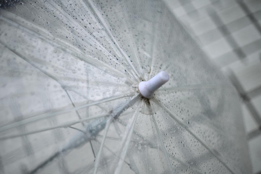 綺麗 Nikon F 初期型 NIKKOR-S AUTO 50mm F1.4