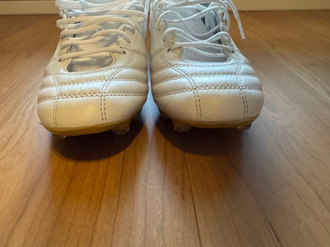 asics DSライトX fry4 25.5㎝