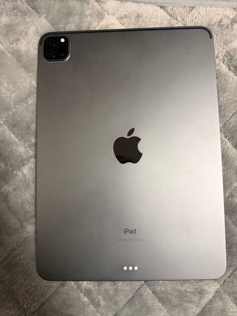 Apple iPad Pro 11インチ（第2世代）+ Apple Pencil