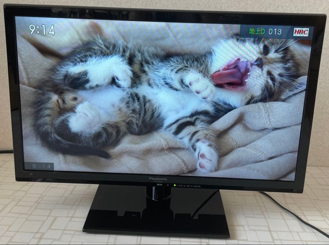 Panasonic Viera 薄型テレビ TH-L24C6 本体と付属品