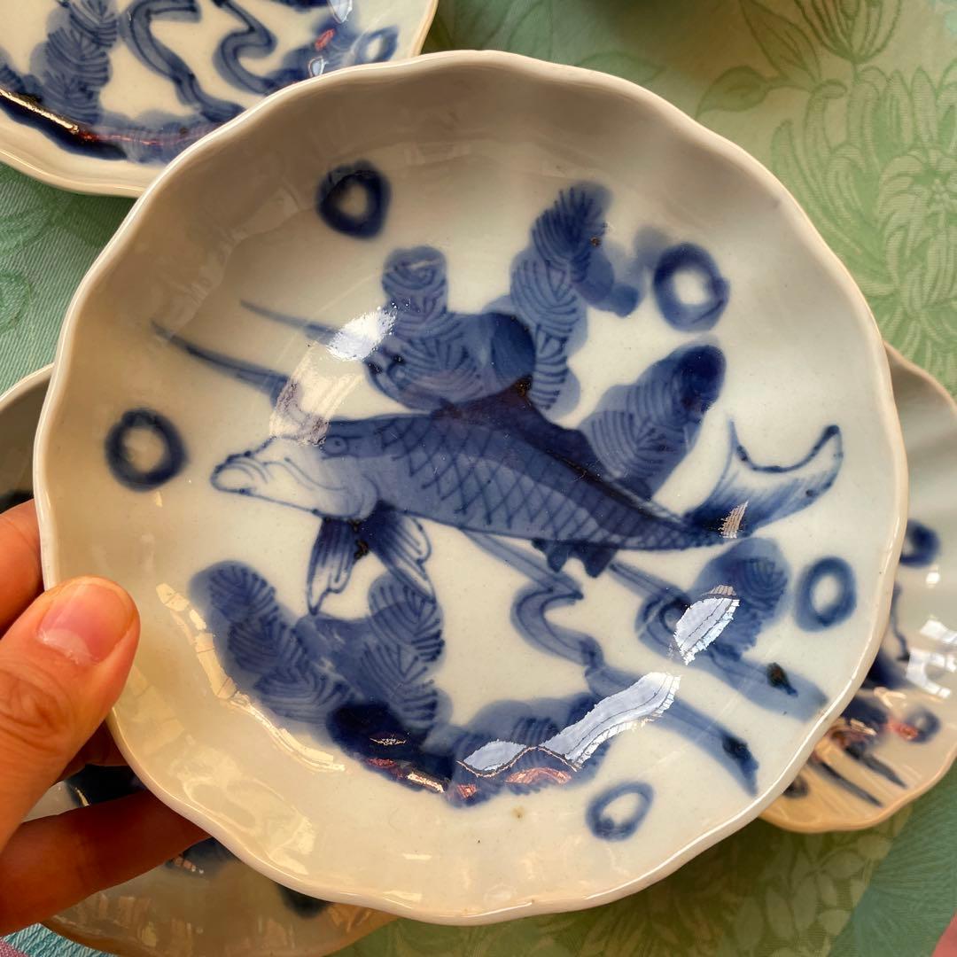 古伊万里　染付　魚　膾皿　5客