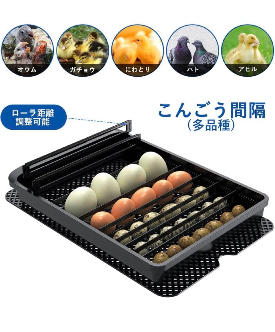 おか専用　自動孵卵器 インキュベーター 鳥類専