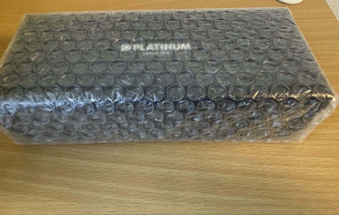 オリジナル万年筆駿河湾春 century2025 字幅F