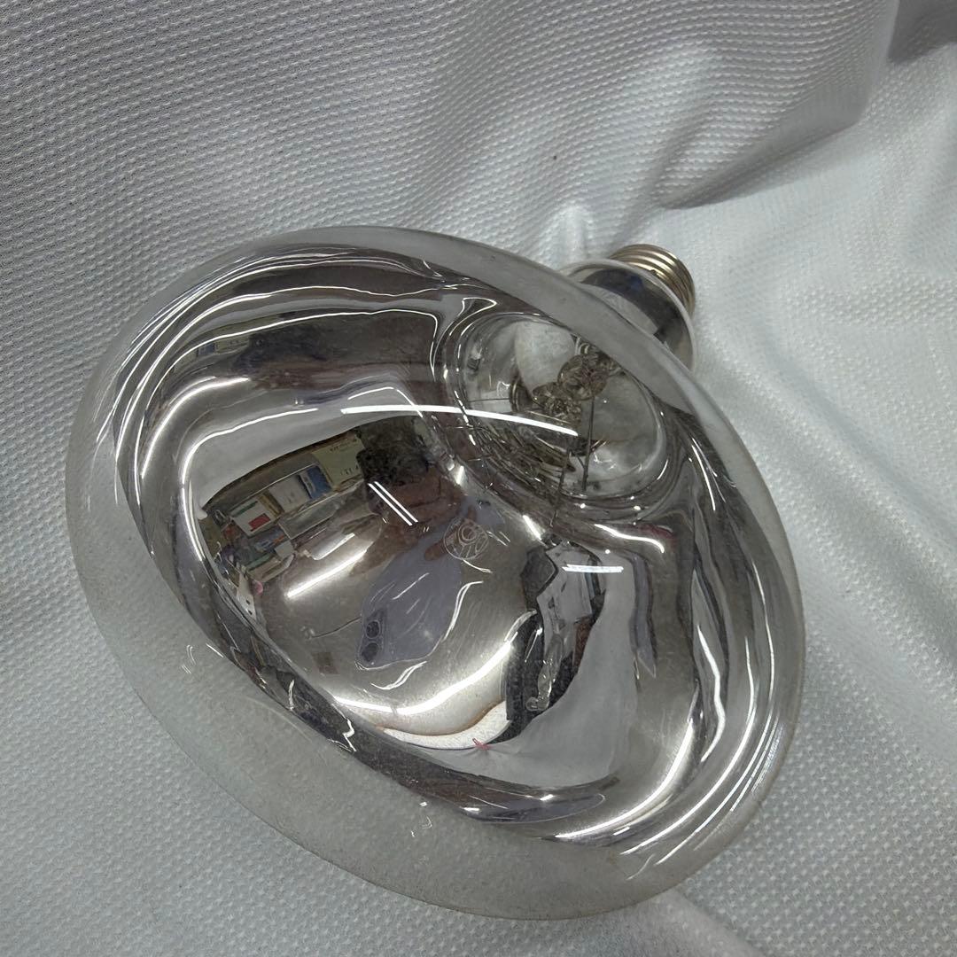 屋外投光球　RF110V100Wガラス電球 6個入り