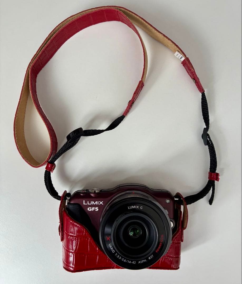 Panasonic DMC-GF5X ミラーレスカメラ　ブラウン　別売ケース付