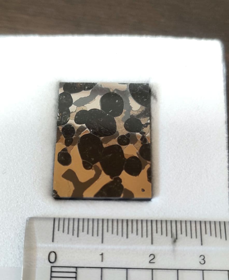 セリコ隕石 パラサイト隕石 スライス 標本