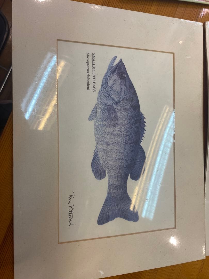 CHARMERルアーブリキ看板とバスのイラストセット　ブラックバス　ヘドン