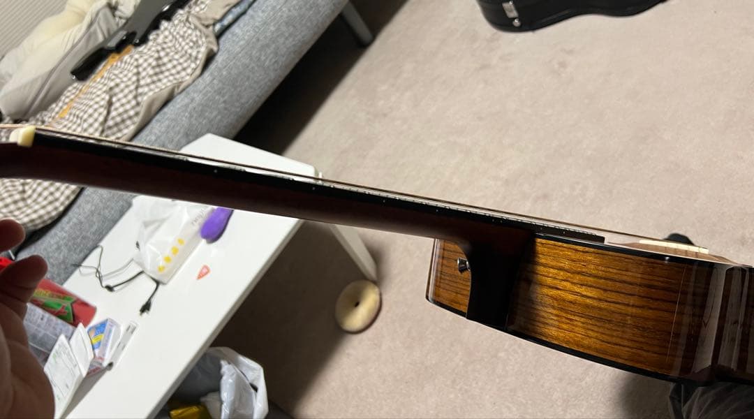 SX SS760E アコースティックギター　エレアコ