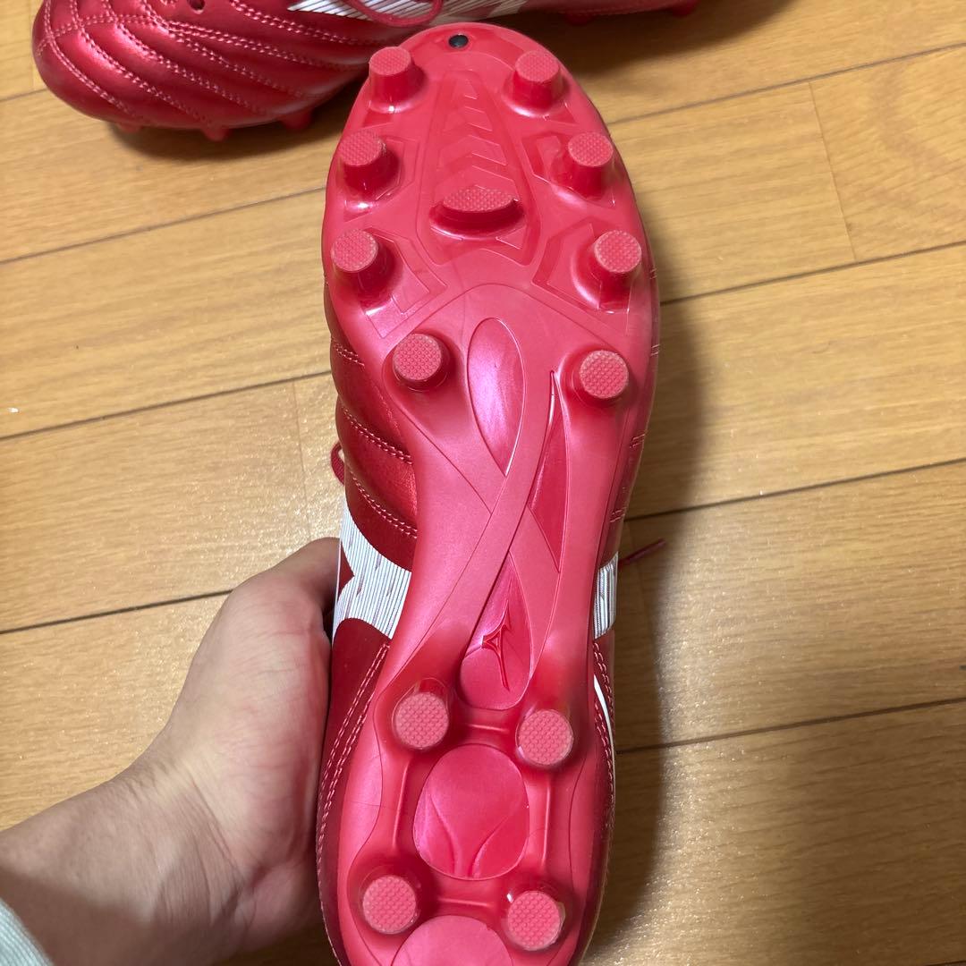 モナルシーダ赤