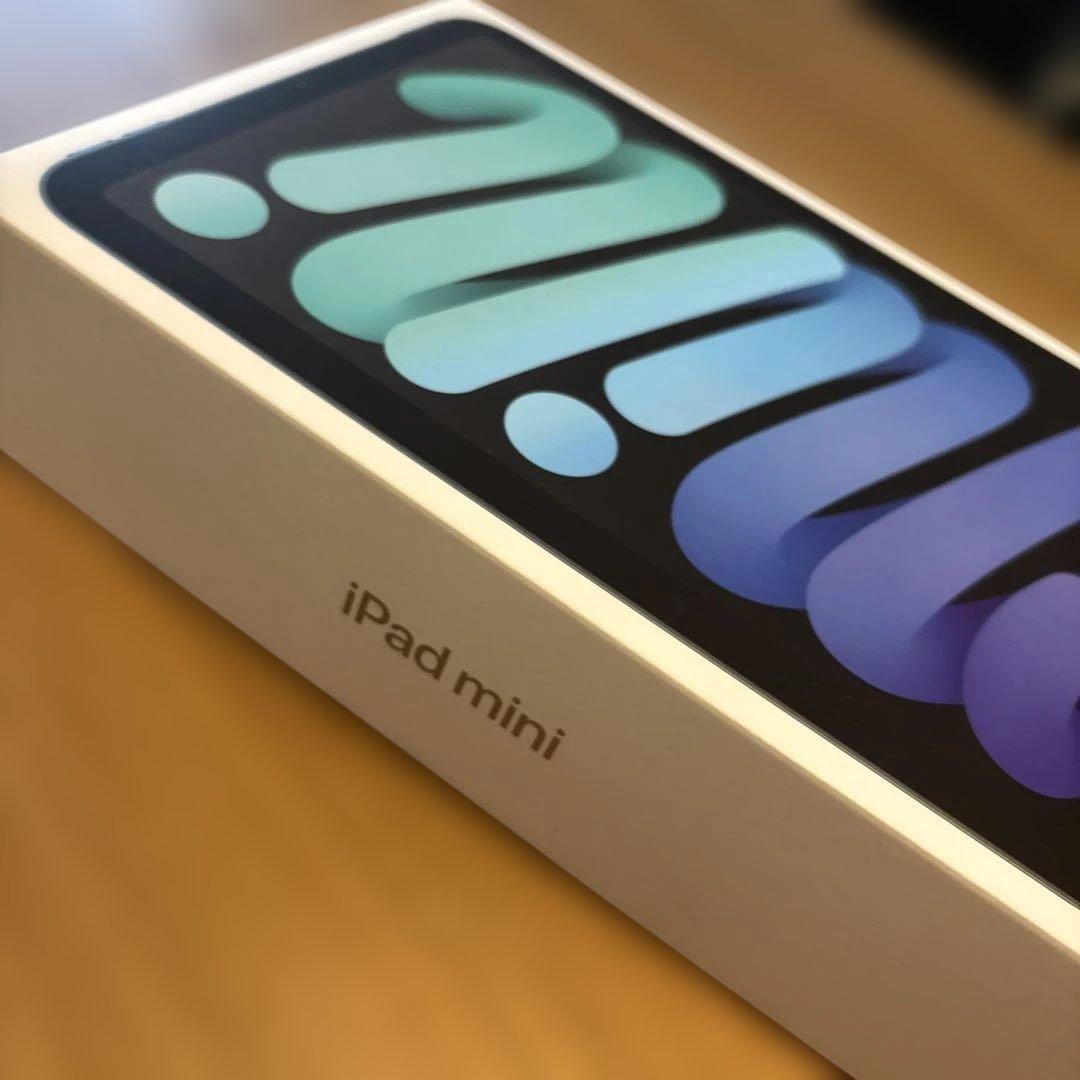 iPad本体 iPad mini (A17 Pro) Wifi+Cellar 128GB