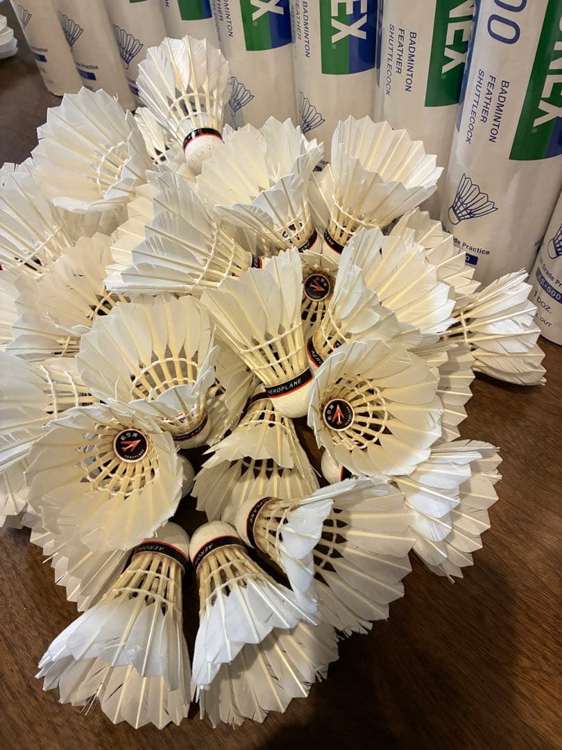 AEROSENSA 500 60球　エアロプレーン等　60球