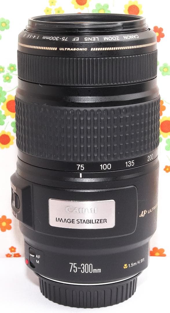 Canon EF 75-300mm IS USM☆遠くの一瞬をブレずに捉える