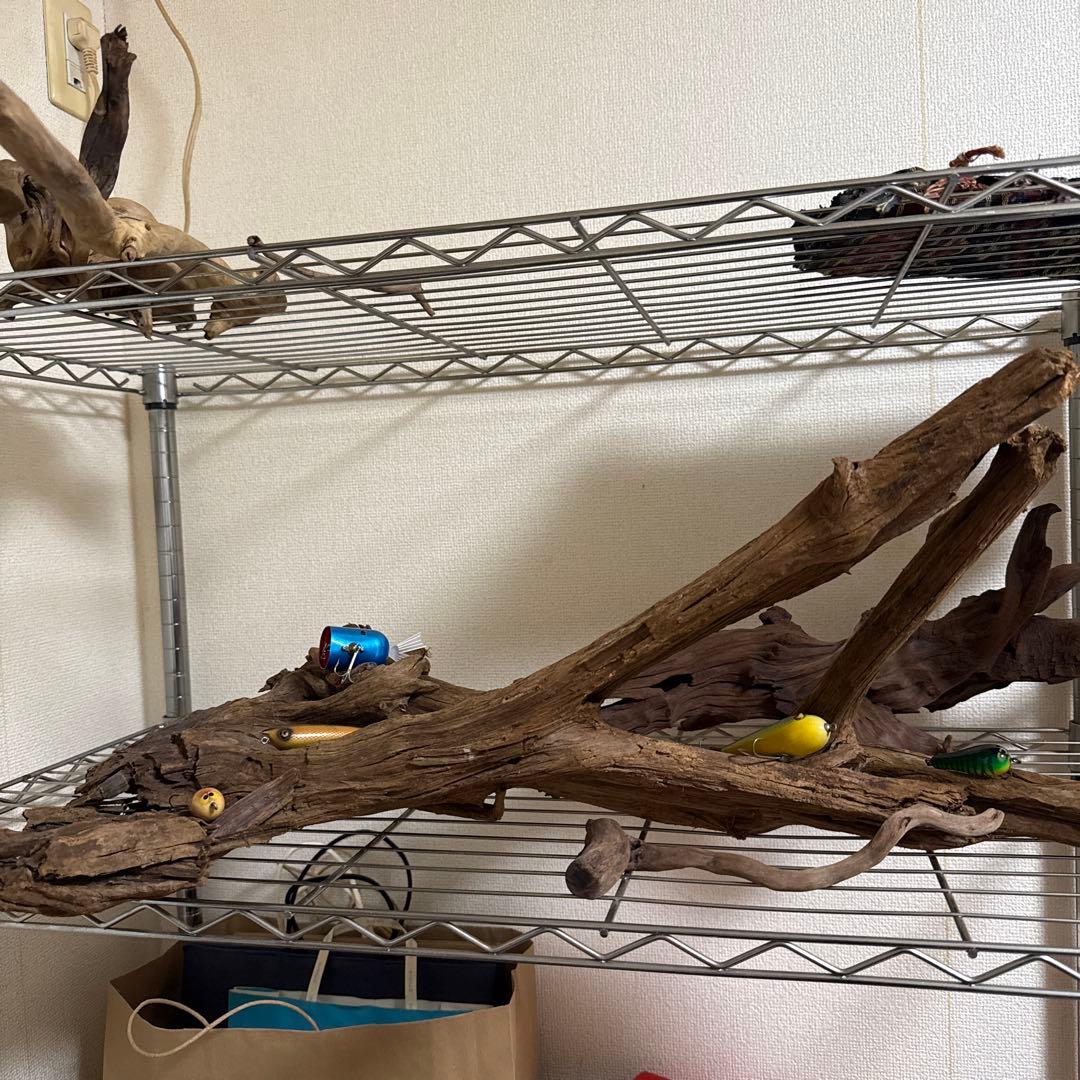 水槽用流木 中型 自然な枝状