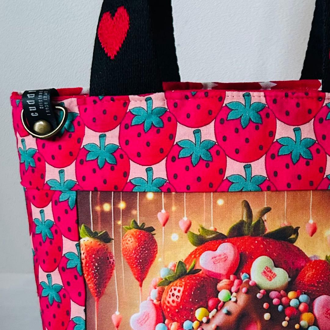 ハンドメイド　コヤンイサムチョン　リトルバレリーナ　ランチトートバッグ❣️