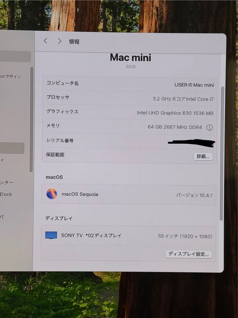 ミニPC Apple Mac mini 2018 64GB 1TB SSD