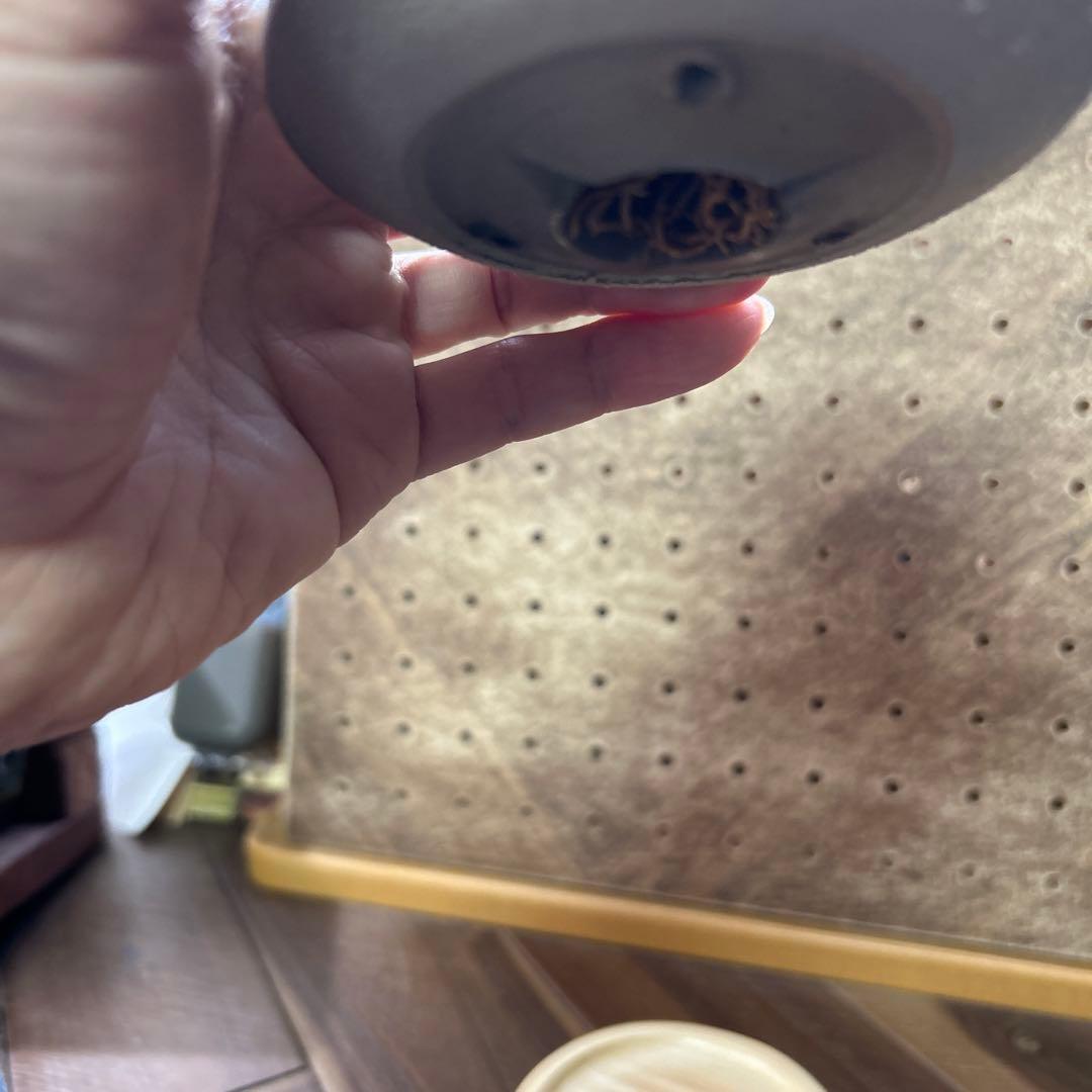 ユーフォルビア ホリダ × 宮下将太鉢