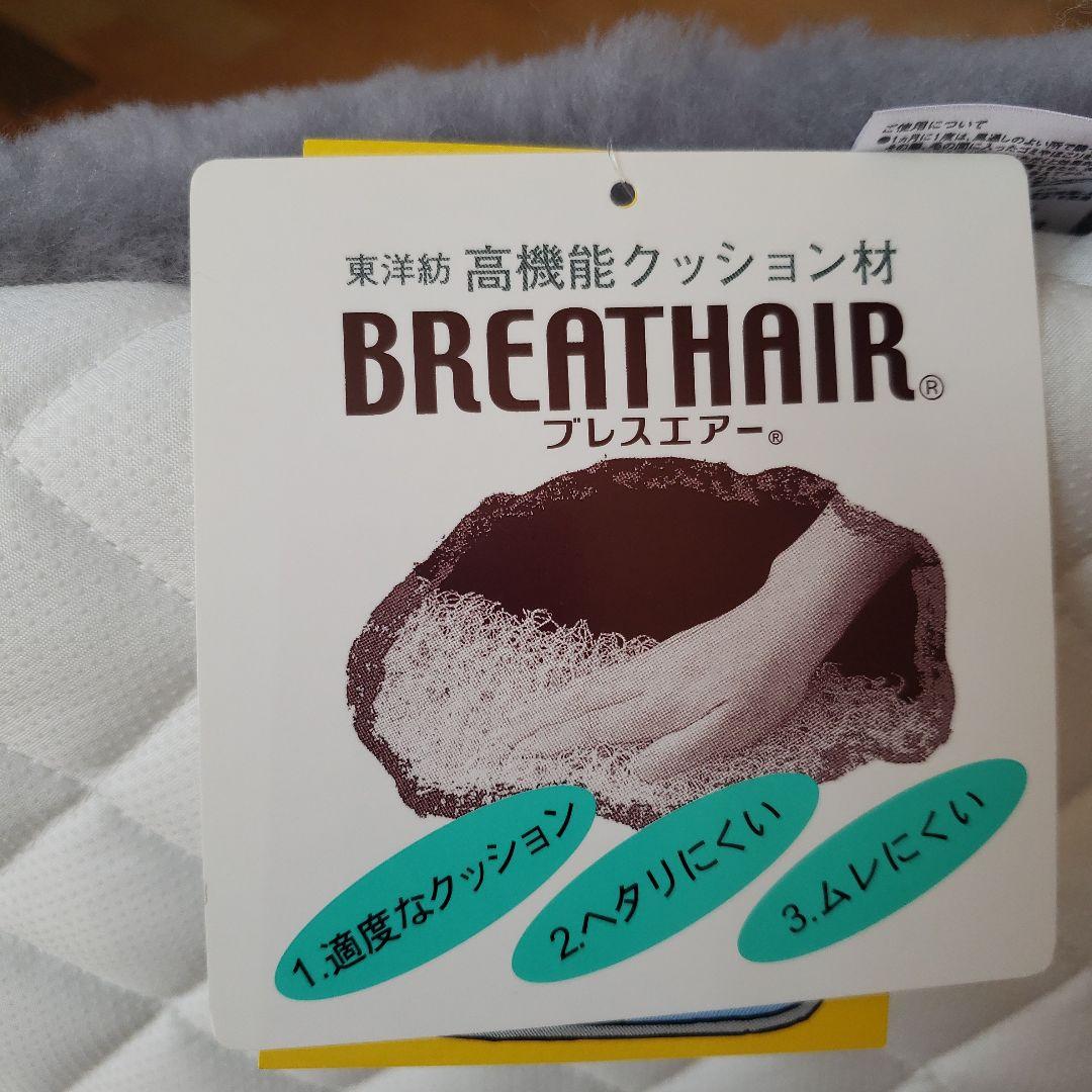 【高品質】ブレスラムクッション　2枚セット