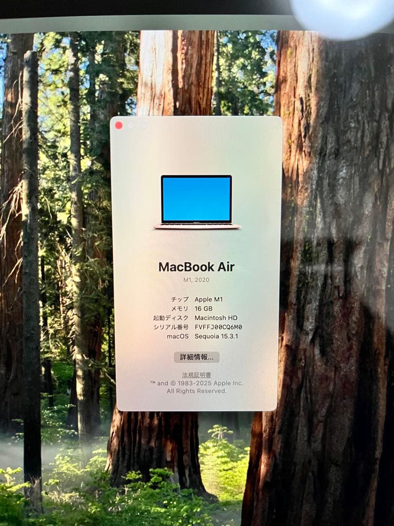 【美品】M1 MacBook Air 13インチ ゴールド 16GBメモリ