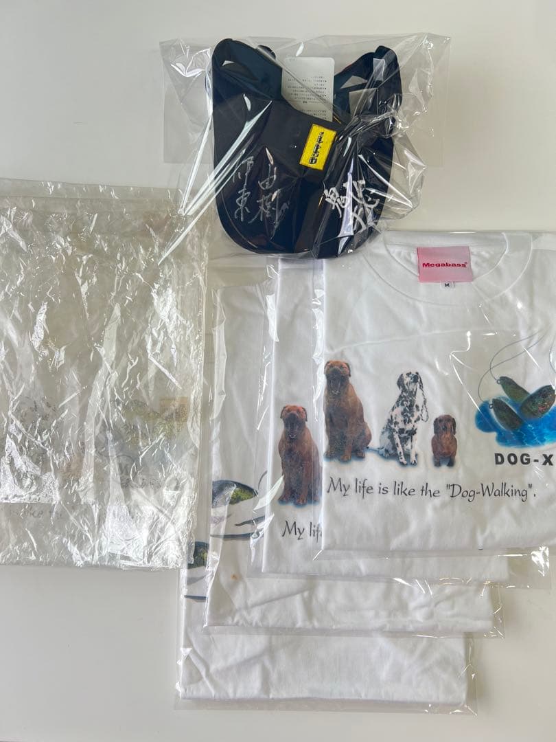 メガバス 激レア デッドストック Tシャツ & サンバイザーセット！