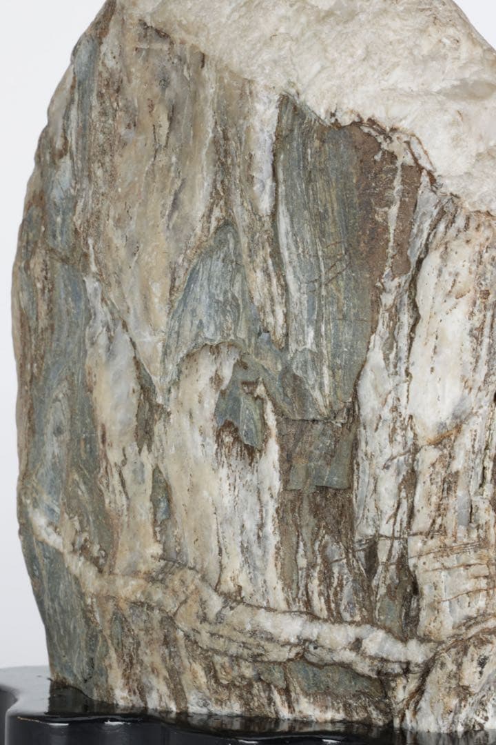 木化石 珪化木 白蛇石 蛇紋石 龍紋石 台座付 4.7kg 天然石 水石 盆石