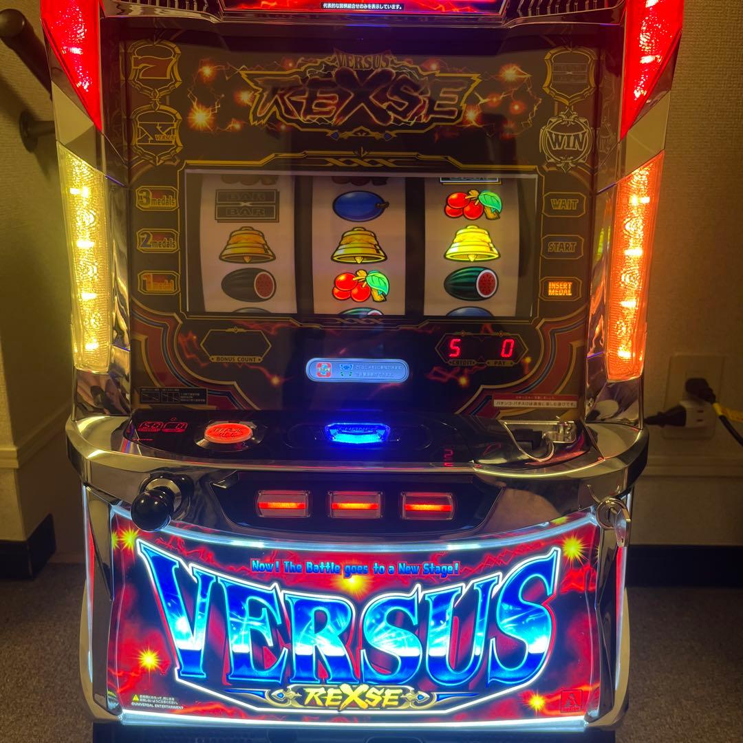 バーサスリヴァイズ　本機　引取限定