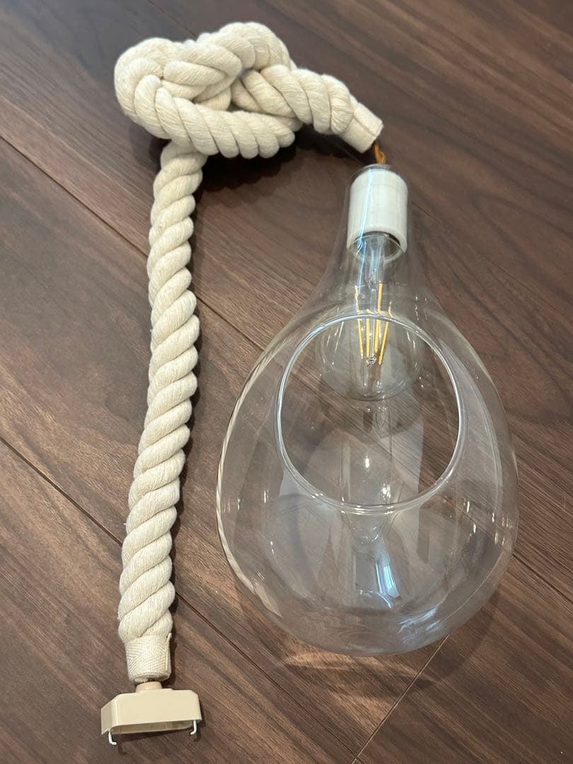 【美品】ボタニカル 引っ掛けシーリング ペンダントライト　Mサイズ①