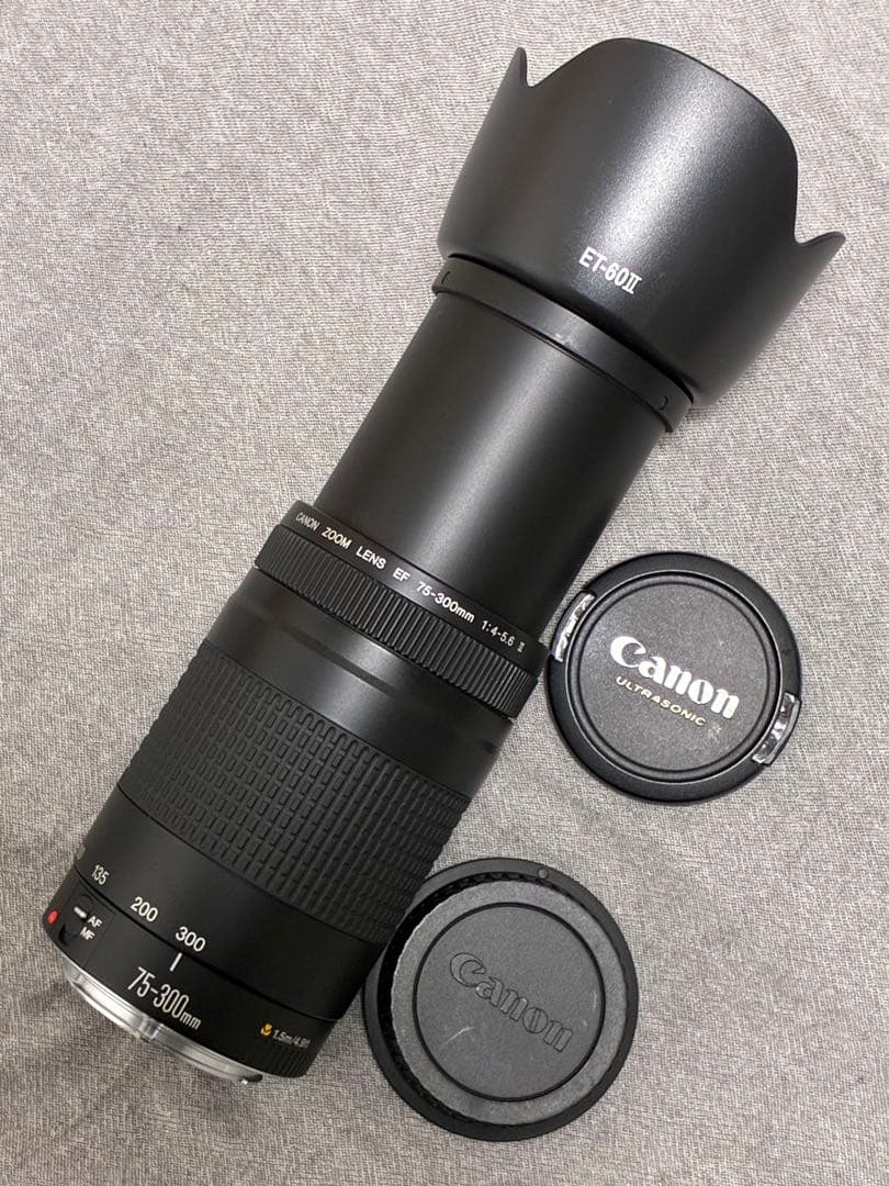 ⭐️美品⭐️ Canon EF 75-300mm F4-5.6 II フード付望遠