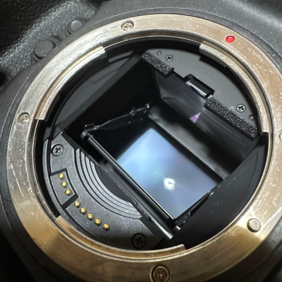 Canon 1DX Mark III ボディ フルサイズ Mark3